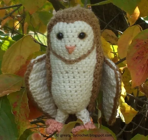 Soren the Barn Owl