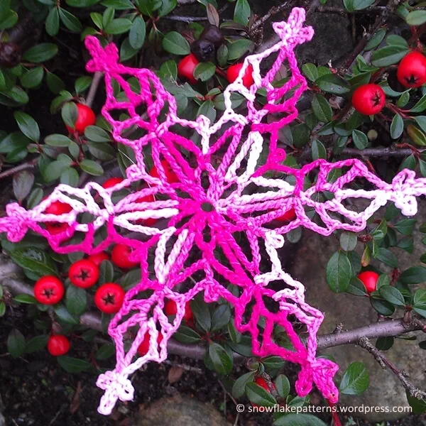 Salmon Glacier Snowflake