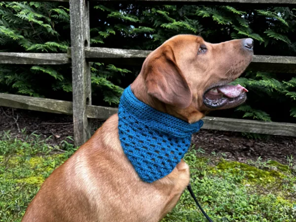 crochet Safety Pet Bandana free pattern