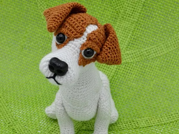 Jack Russell Terrier