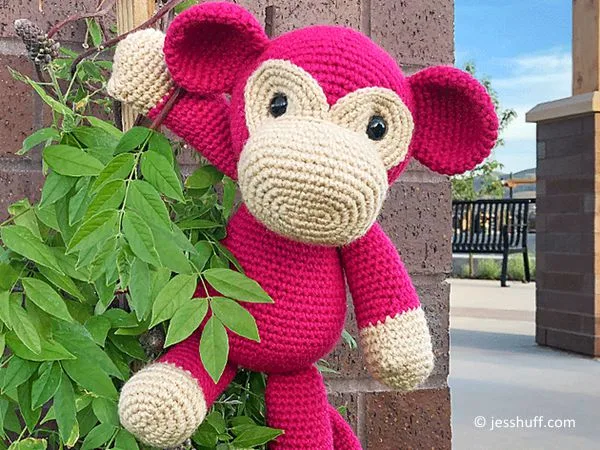 Mimi the Monkey