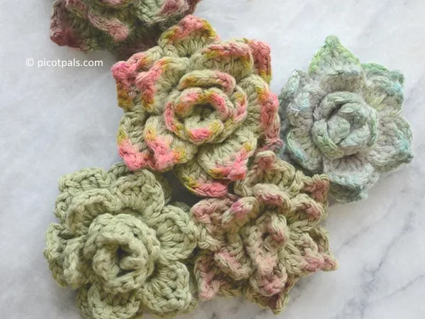 Crochet Succulents