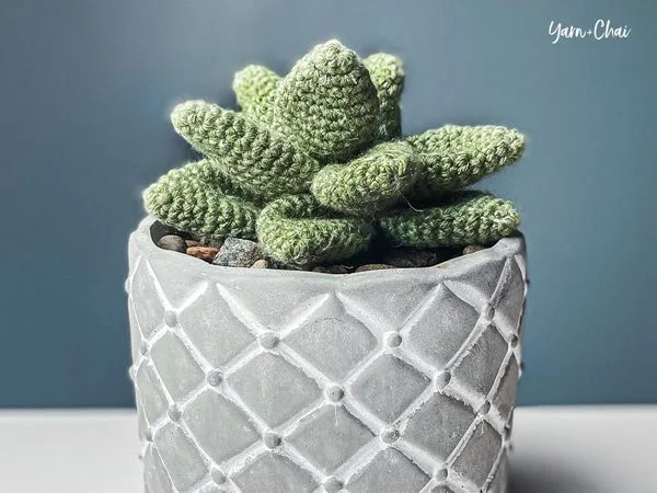 crochet DESKTOP SUCCULENT free pattern