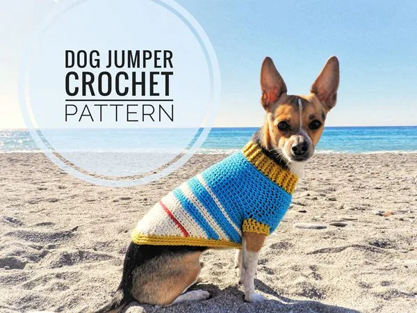 Varsity Doggie Jumper