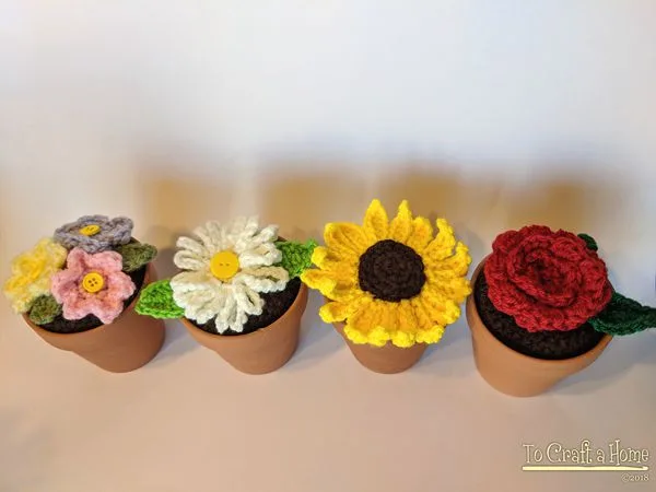 Potted Flowers