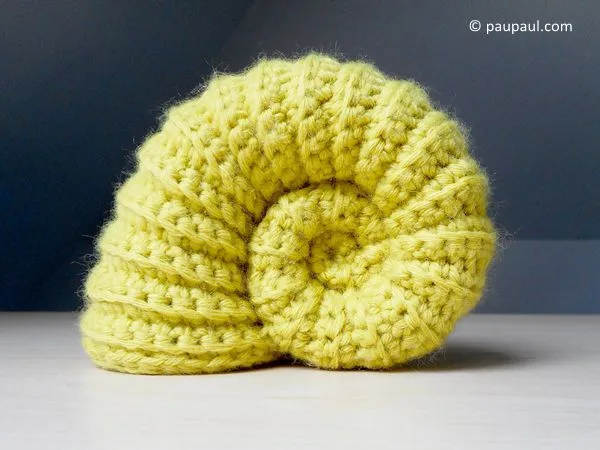 Ammonite fossil