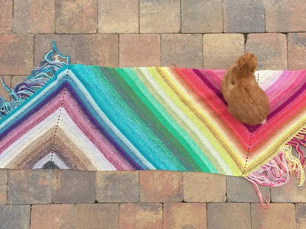 RainBOOM! Wrap
