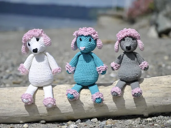 Presto the Poodle