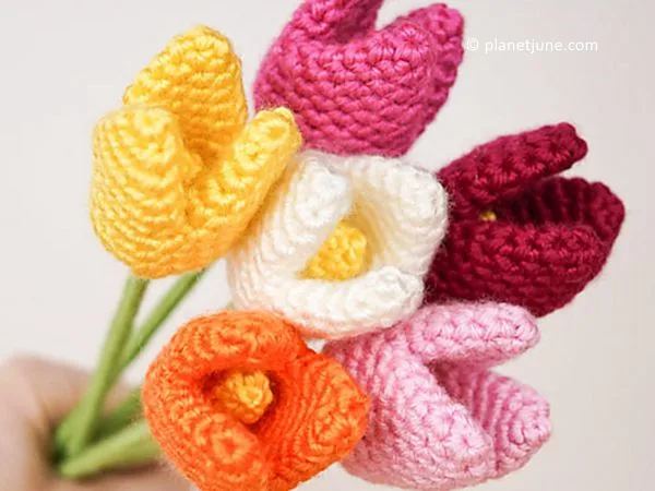 Tulips