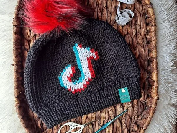 crochet TikTok Made Me Duet Beanie easy pattern