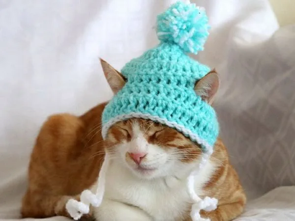 Crochet Cat Hat