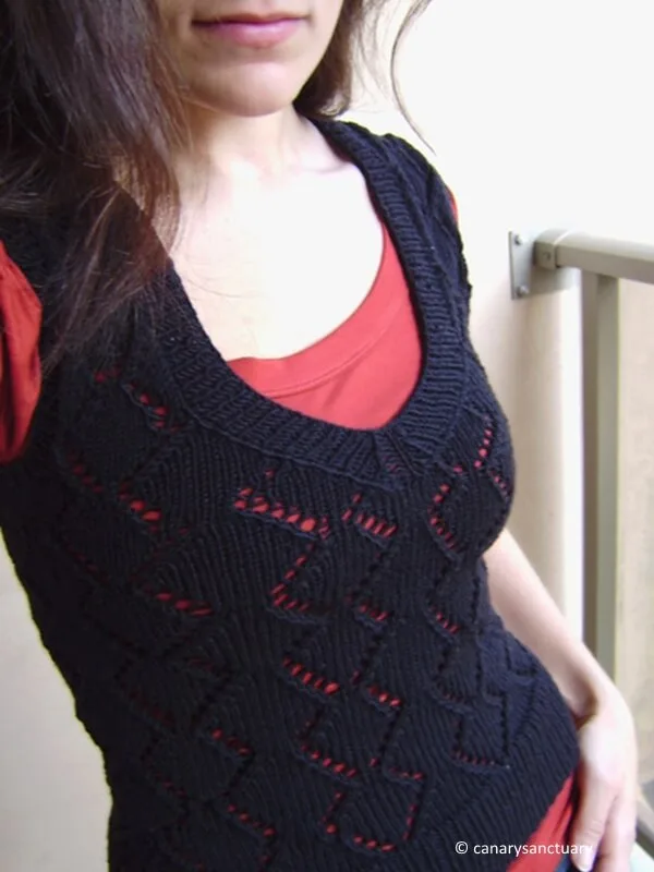 Sexy Vesty