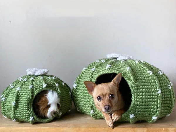 Crochet Round Cactus Dog House easy pattern
