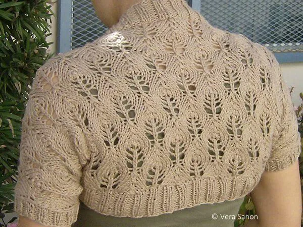 Something Lacy Shrug