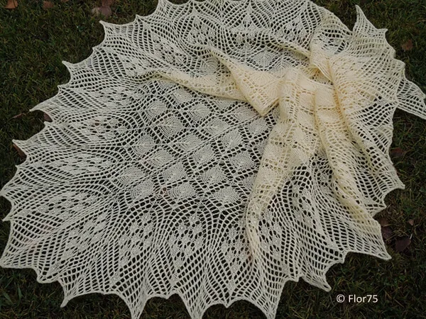 Ethereal Shawl
