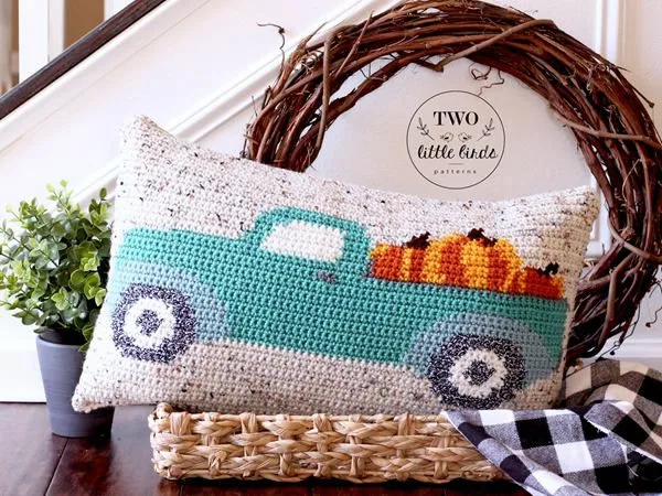 Fall Crochet Pillow