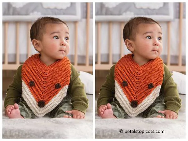 Finley the Fox Bib