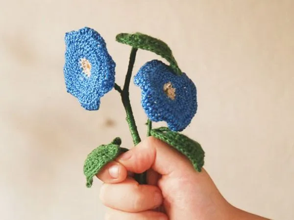 crochet Morning Glory free pattern