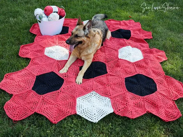 crochet Happy Hex Picnic Blanket free pattern