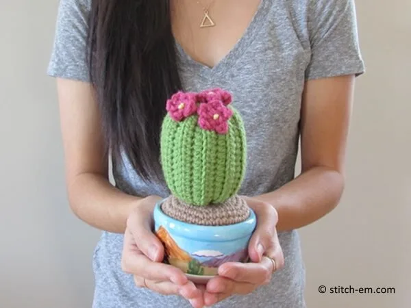 Cactus