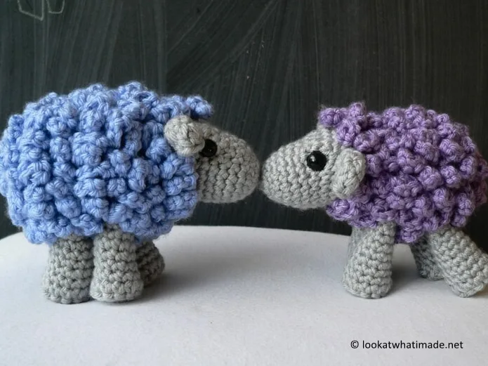 Shorn the Sheep