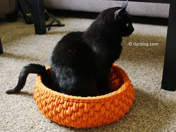Big Little Pet Bed