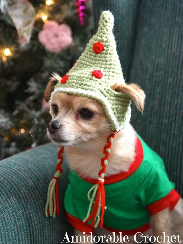 Dog Hat