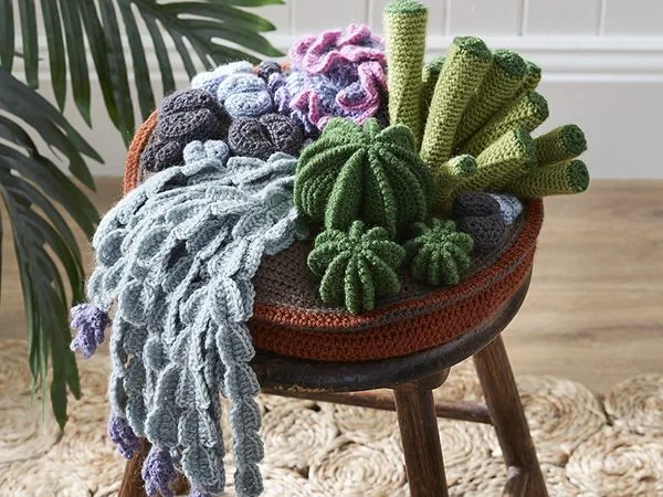 Cactus Garden
