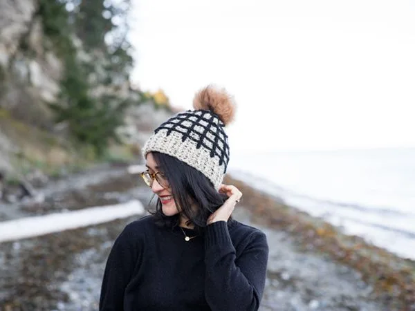 crochet Window Pane Crochet Beanie free pattern