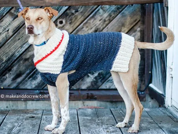Ready to Roam Dog Sweater