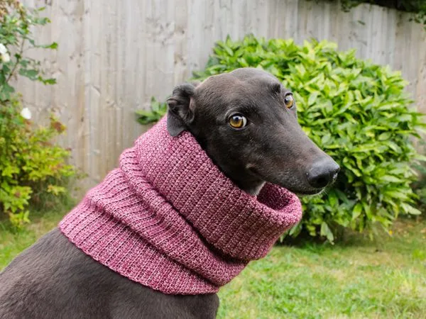 crochet Faye Dog Snood easy pattern