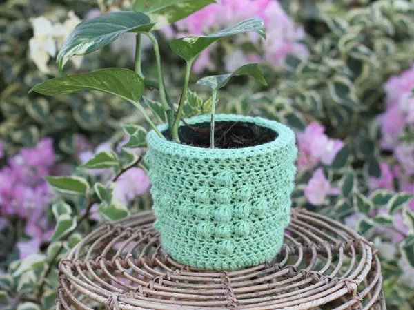 crochet DIAMOND PLANT COZY free pattern
