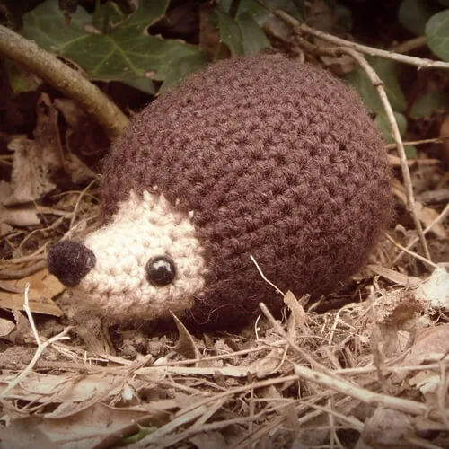 hedgehog