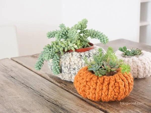 CROCHET SUCCULENT PUMPKIN PLANTER