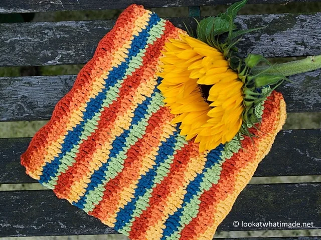 Lazy Waves Dishcloth