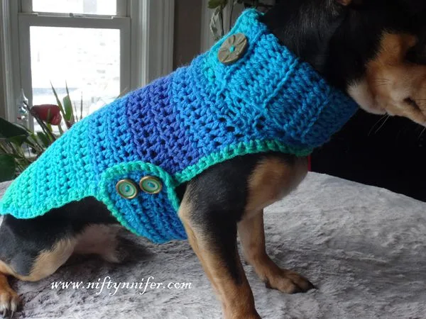 Chihuahua Sweater