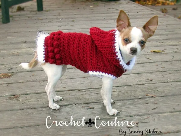 Hooded Dog Sweater