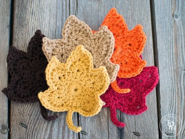 Fall Leaves